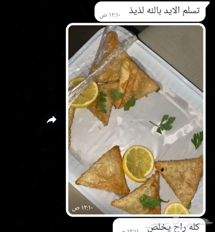 مفرزنات سمبوسه رمضان 19