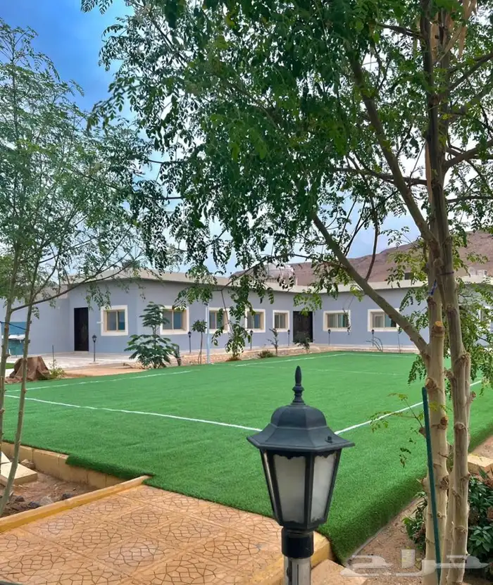 استراحة ومنتجع لافينا للإيجار اليومي 16