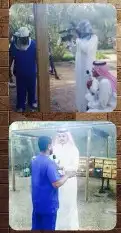نحل بلدي يوجد أعواد وأفرنجي ويوجد خدمةالتوصيل 16