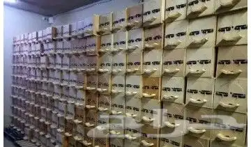 نحل بلدي يوجد أعواد وأفرنجي ويوجد خدمةالتوصيل 15