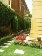 تكسيات جداريه 12