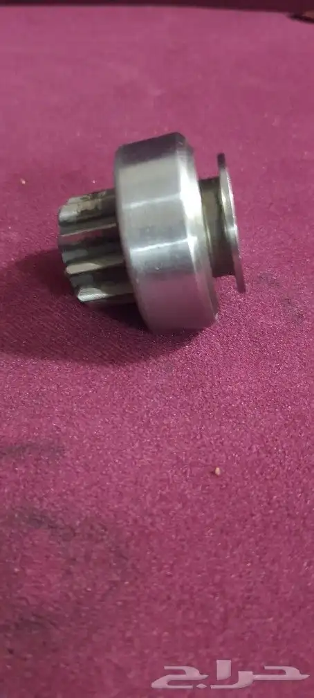 العيون بالاحساء 1