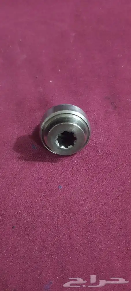 العيون بالاحساء 3