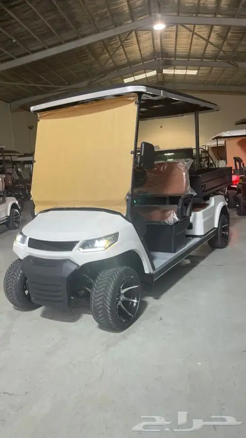 عربات قولف العربات الكهربائية golf car 18
