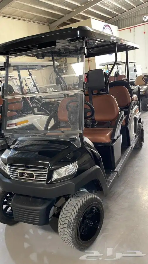 عربات قولف العربات الكهربائية golf car 20