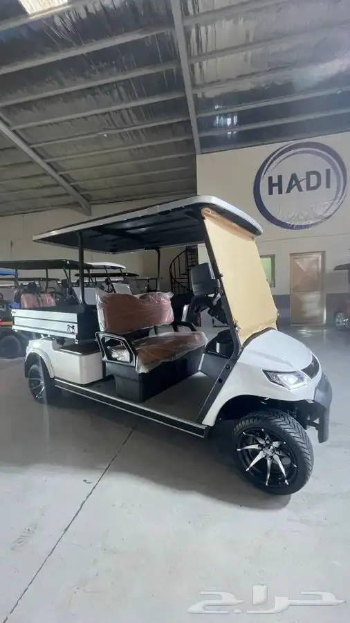 عربات قولف العربات الكهربائية golf car 19