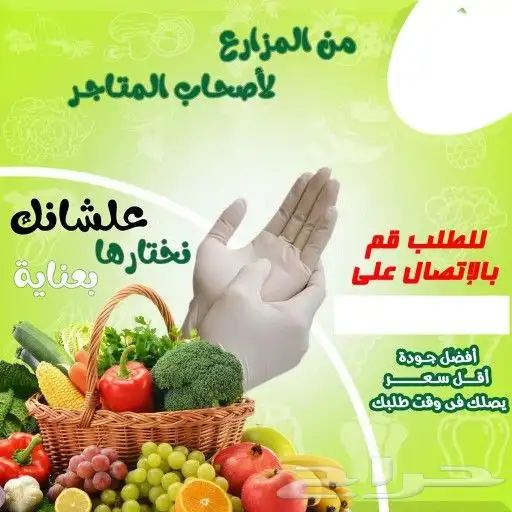 تصميم جرافيك و هاوية تجارية و بروفيل وبرشور 24