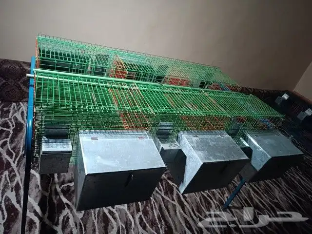 بطاريه ارانب افقيه 6عين 1