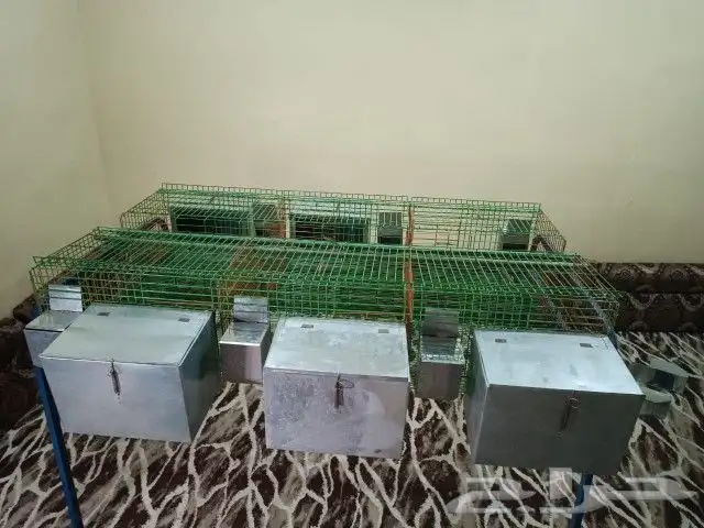 بطاريه ارانب افقيه 6عين 2