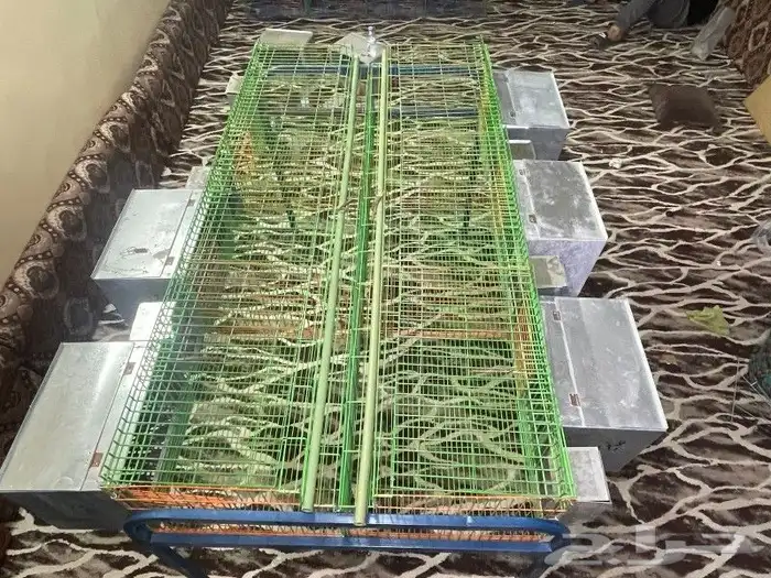 بطاريه ارانب افقيه 6عين 6