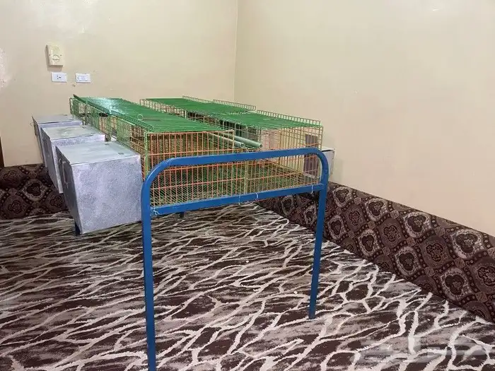 بطاريه ارانب افقيه 6عيون 6