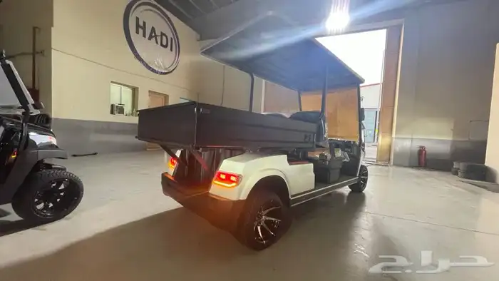 عربات قولف العربات الكهربائية golf car 17