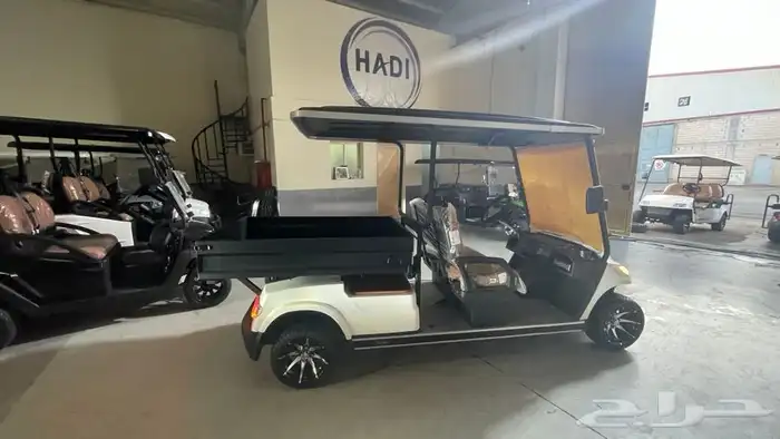عربات قولف العربات الكهربائية golf car 16