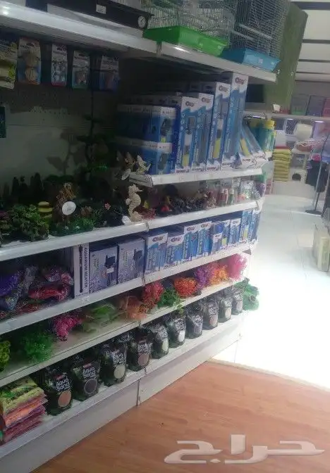 مؤسسة الطيور الريفية محل للبيع طيور ومستلزمات 1