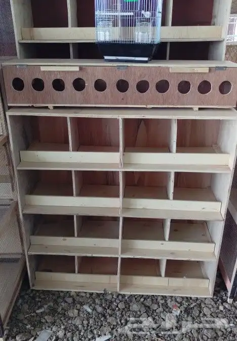 مؤسسة الطيور الريفية محل للبيع طيور ومستلزمات 12