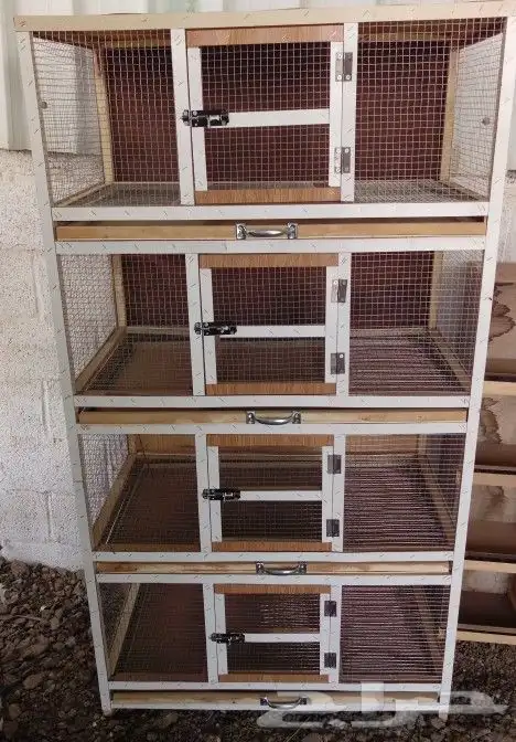 مؤسسة الطيور الريفية محل للبيع طيور ومستلزمات 11