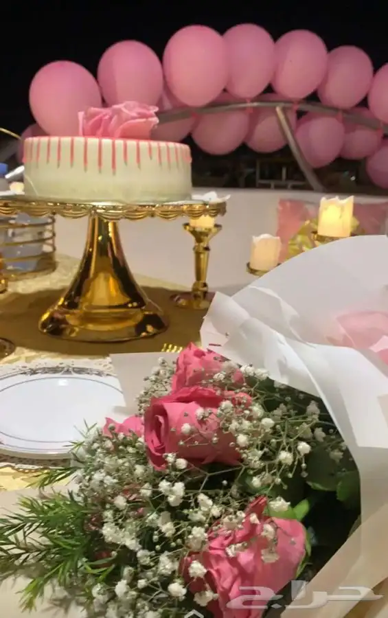 رحلات بحرية 6