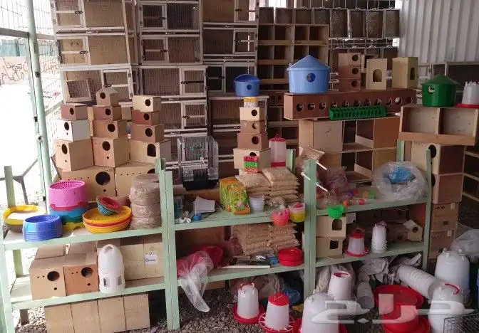 مؤسسة الطيور الريفية محل للبيع طيور ومستلزمات 13