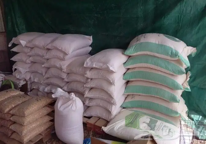 مؤسسة الطيور الريفية محل للبيع طيور ومستلزمات 9