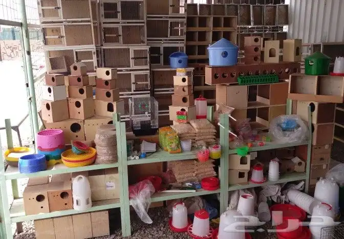 مؤسسة الطيور الريفية محل للبيع طيور ومستلزمات 14