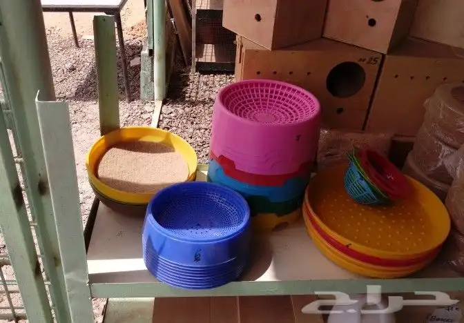 مؤسسة الطيور الريفية محل للبيع طيور ومستلزمات 7