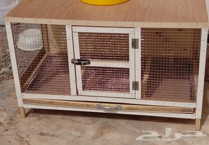 مؤسسة الطيور الريفية محل للبيع طيور ومستلزمات 18