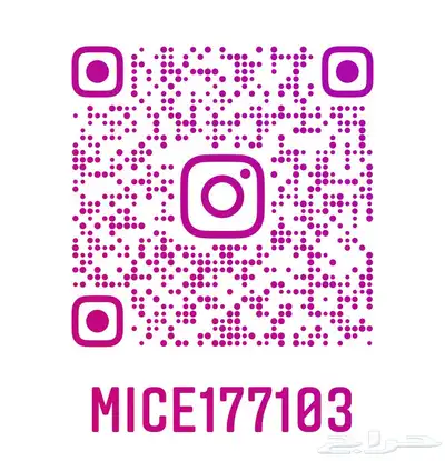 رحلات بحرية 8