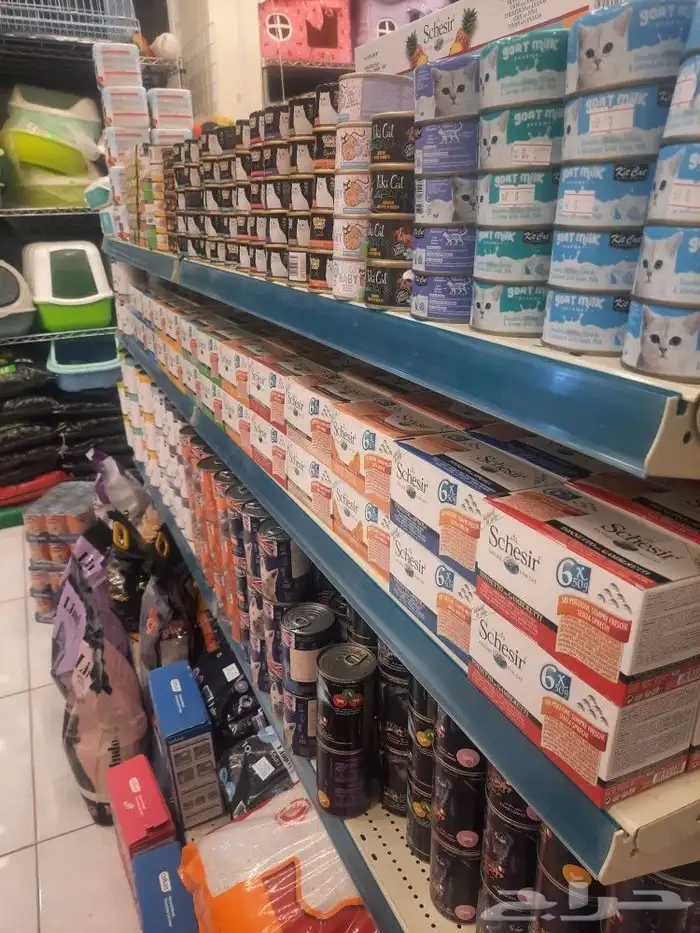 معلبات قطط وكلاب بوتشر كت كات شيزر اسعار مميزه 1