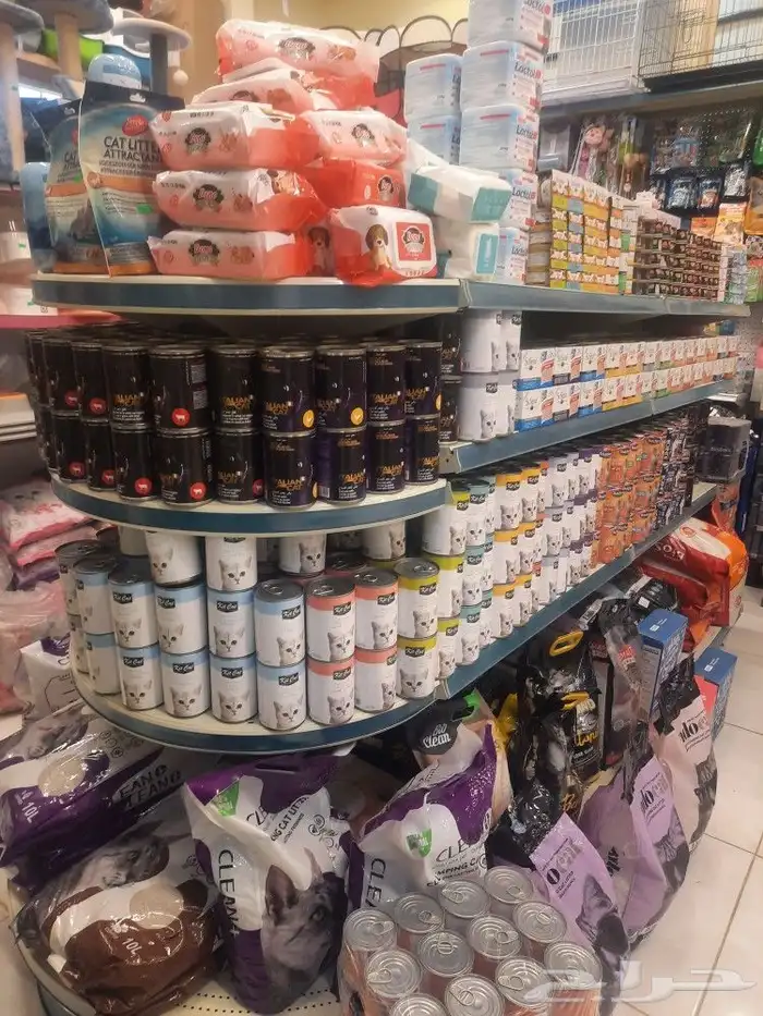 معلبات قطط وكلاب بوتشر كت كات شيزر اسعار مميزه 2