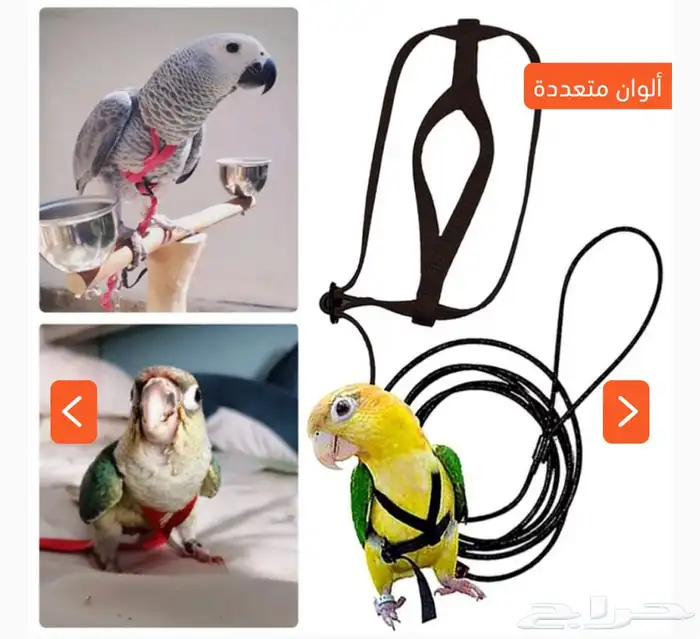 هارنس طيور حبل طيور اقفاص العاب سيريلاك 3