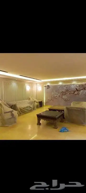 ديكورات ودهانات مكه ديكورات منزليه بويات داخلي وخارجي 8