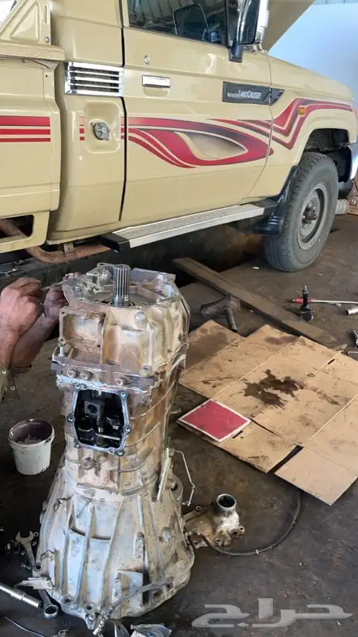 عروض ورشه الضيوفي 9