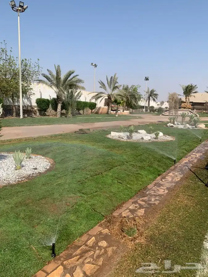 ثيل نجيله C2000 صافي درجه اولى مضمونه 19