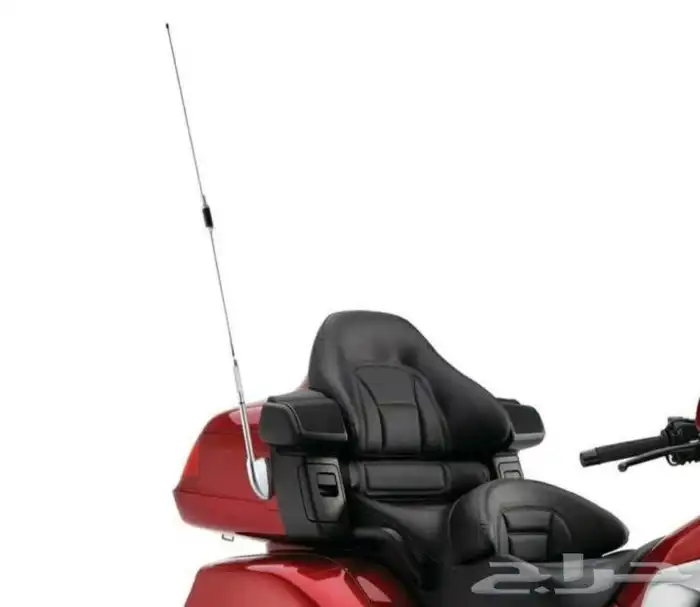 انتل قولد وينق 1