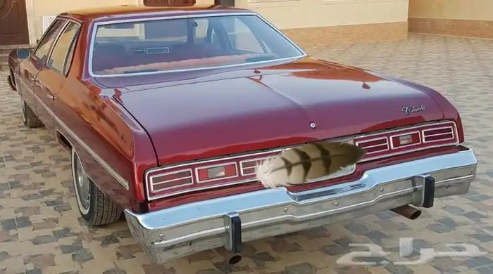 تم البيع تم البيع تم البيع امبالا 1976 ممشى قليل جدا 2