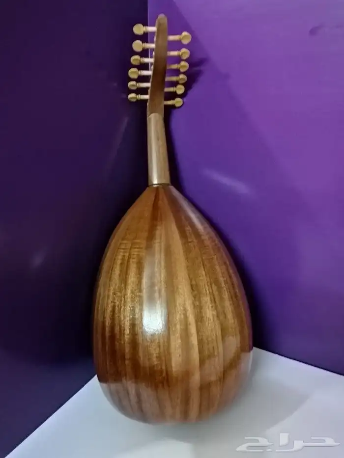 عود موسيقي تعليمي مصري شعبي درجه اولى آلات مو 6
