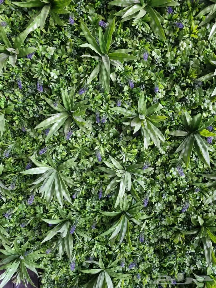 عشب جداري بأسعار منافسة 1