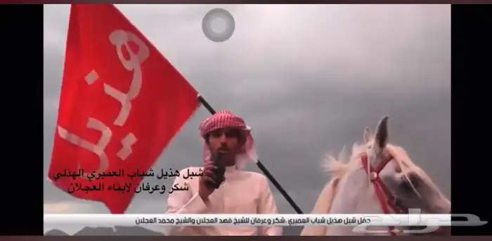 بيرق 0