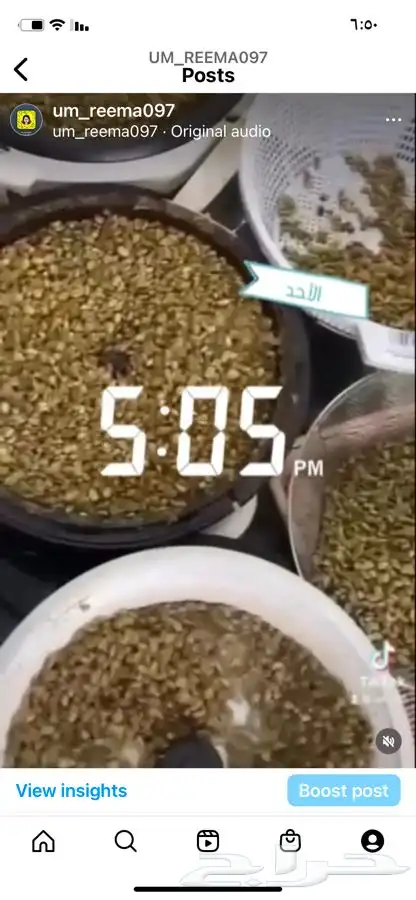 قهوة الكيف 5