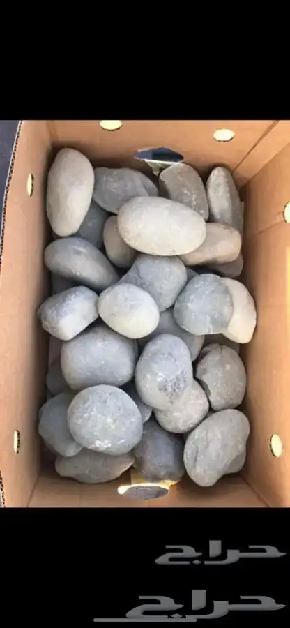 حجر مظبي للمطاعم حجر صحي مرخ سلع متوفر 17