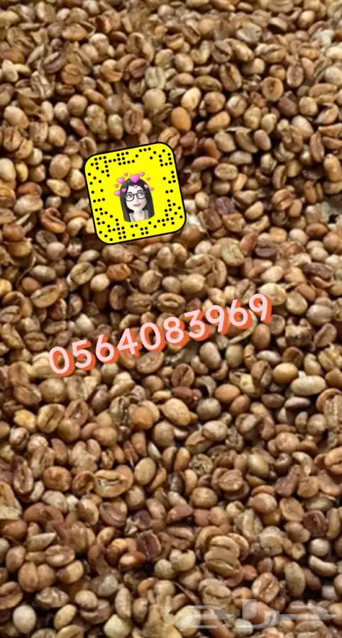 قهوة الكيف 16