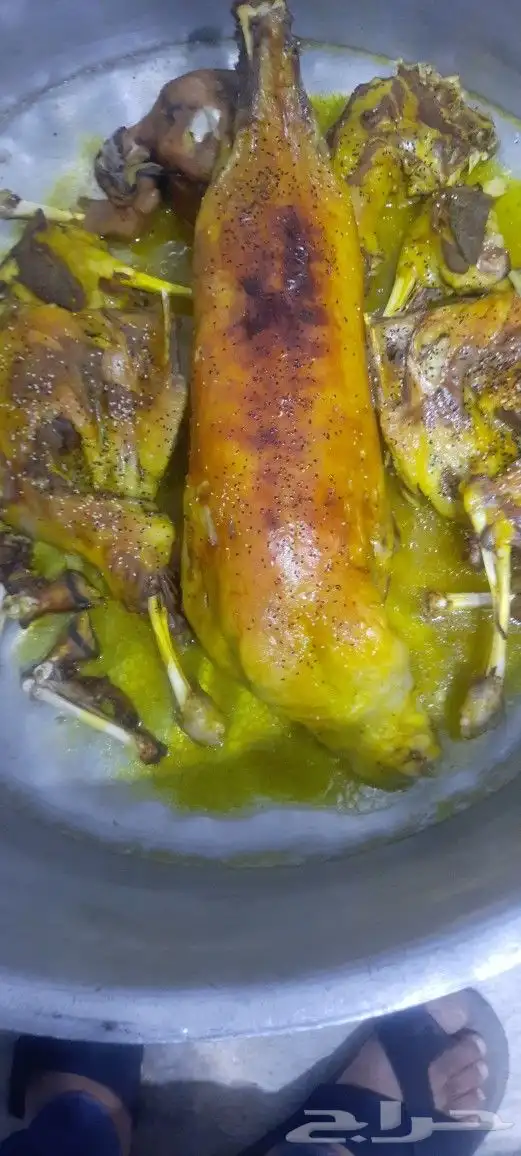 طباخ شعبي ايدام جريش قرصان مندي حنيذ 3