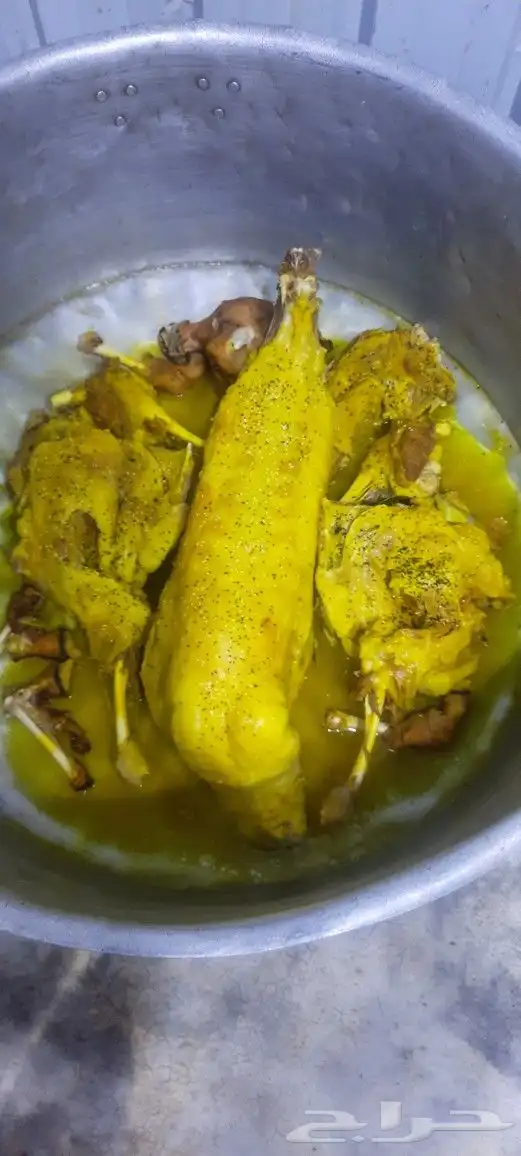 طباخ شعبي ايدام جريش قرصان مندي حنيذ 2