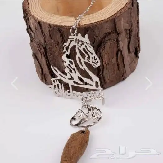 زين سيارتك وسيارة من تحب بافخم تعليقه بالاسم   14