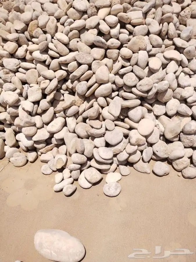 حجر مظبي للمطاعم حجر صحي مرخ سلع متوفر 6