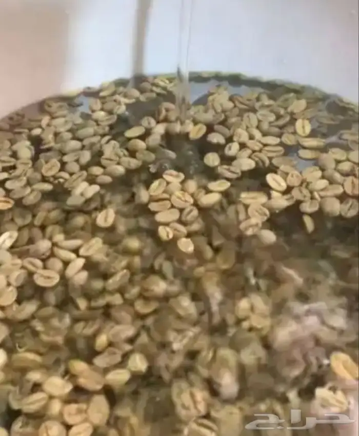 قهوة الكيف 1