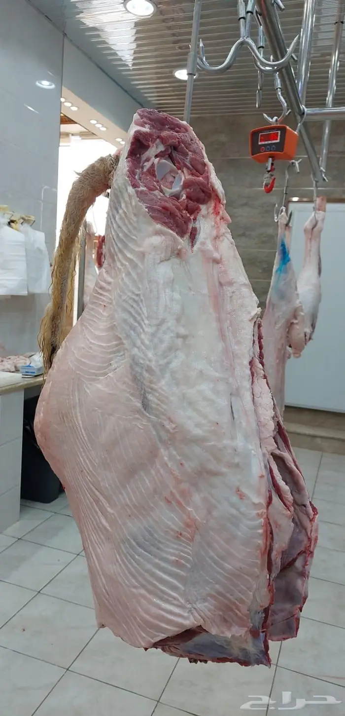 متجر ذبيحة 25