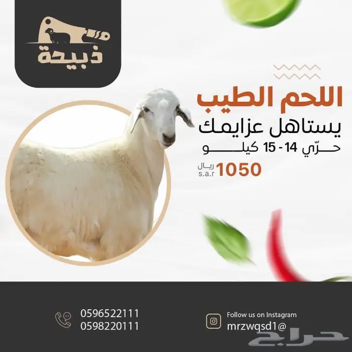 متجر ذبيحة 13