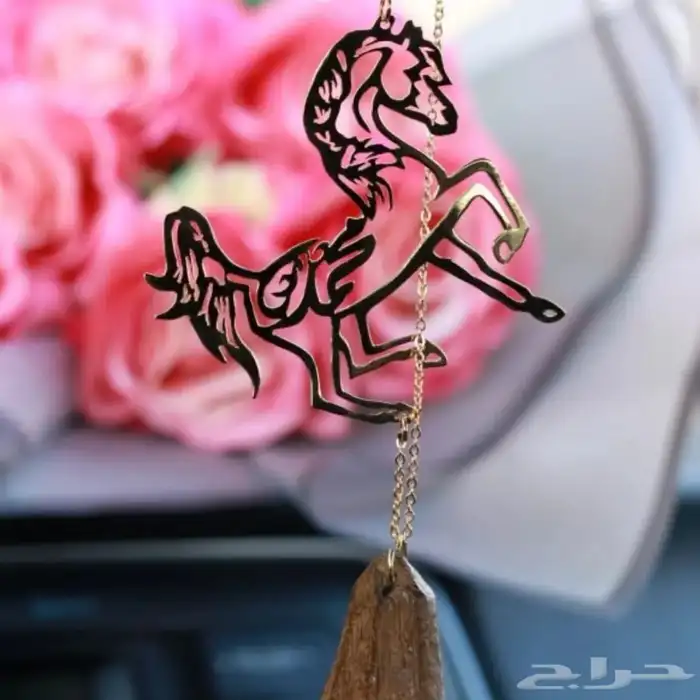 تعليقات سياره مع كسرت العود بالاسم الي ودك 3