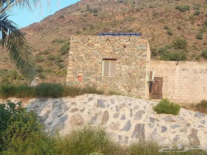 النماص محايل بني عمرو العلايه باشوت بلحمر 6